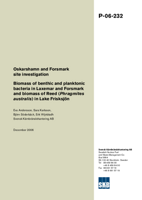 Oskarshamn and Forsmark site investigation. Biomass of benthic and planktonic bacteria in Laxemar and Forsmark and biomass of Reed (Phragmites australis) in Lake Frisksjön