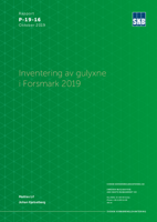 Inventering av gulyxne i Forsmark 2019
